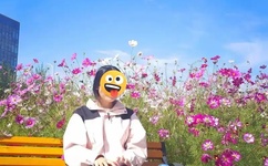 爸爸我想吃你的巧克力棒